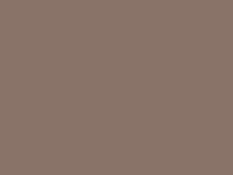 Ранфорс Мокко (темно коричневый)